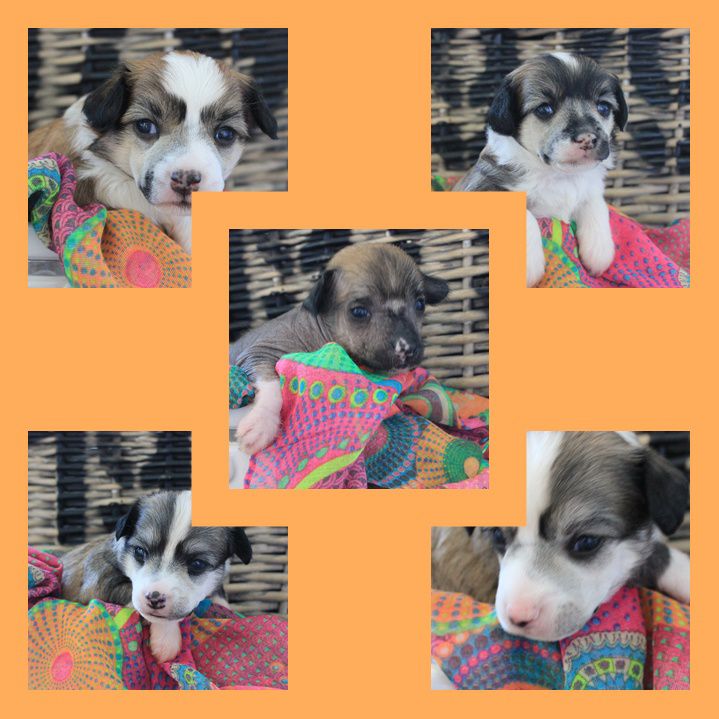 Call me Just got it all