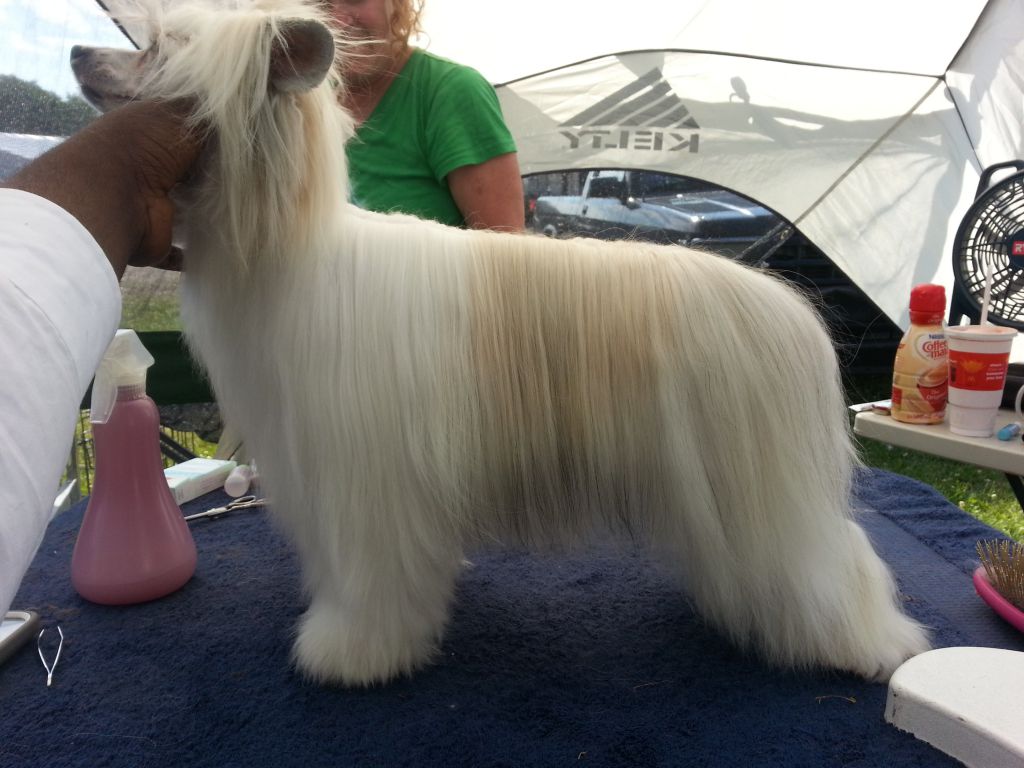 ByDezign Fashion forget the Rest