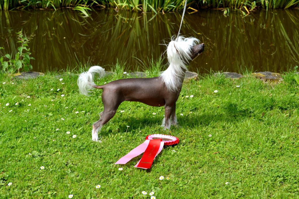 Miakoda's Miss Need No Makeup