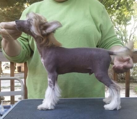 JewelsTake It Or Leave It