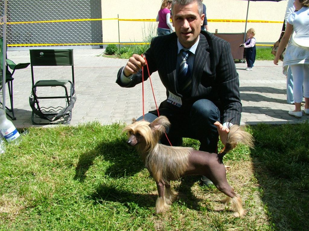 Picture