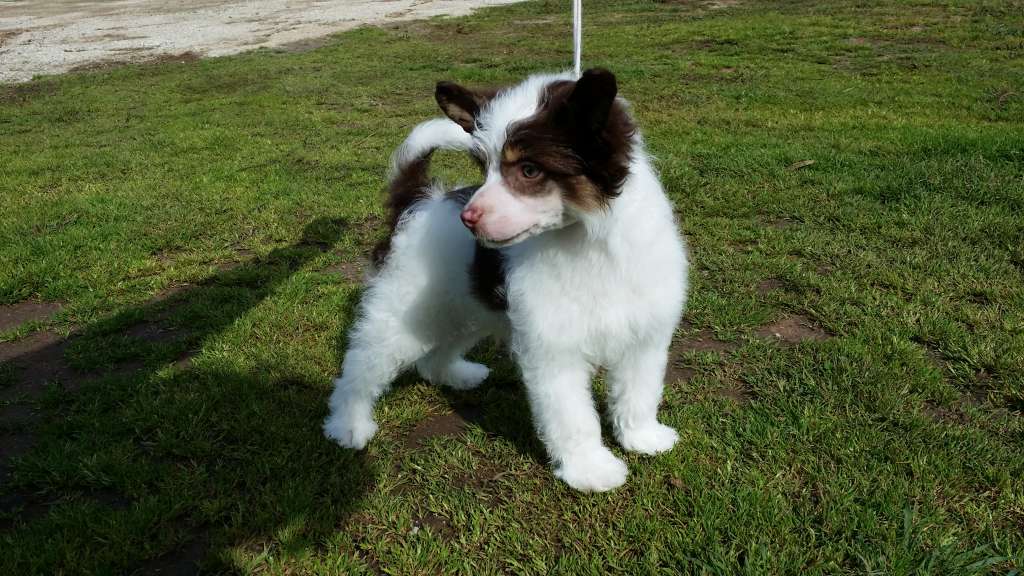 Entourage Twitter N Tattle