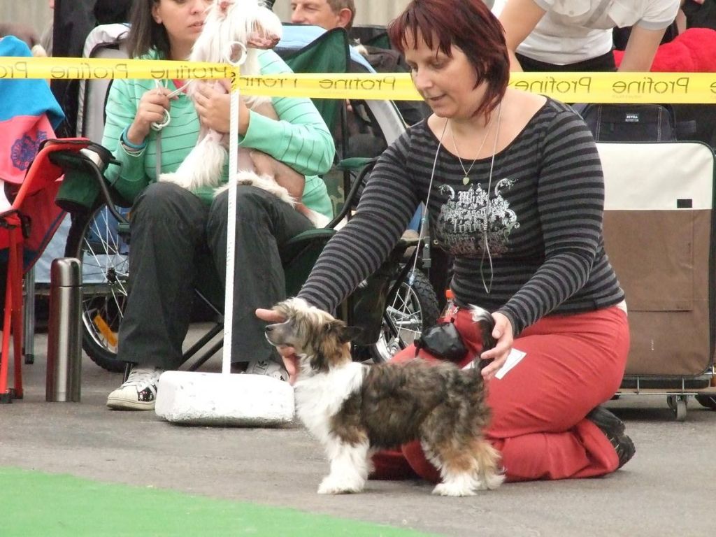 Albireo z Jestrebiho kralovstvi