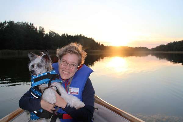 Practical Hero Organized