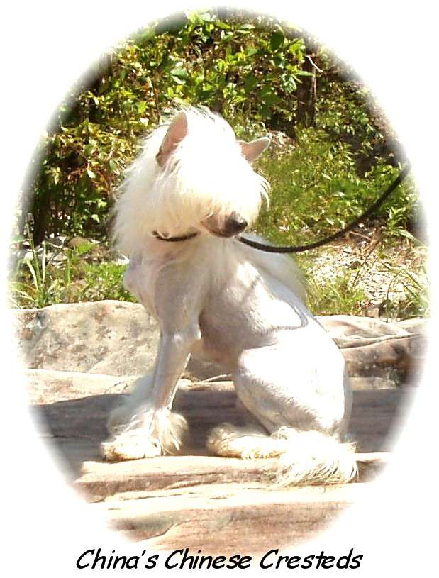 Soho Drinks The Saki