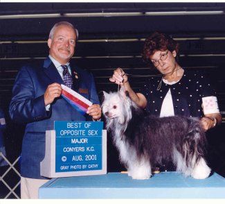 Karmabeck's Stevie Nix