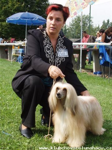 Picture
