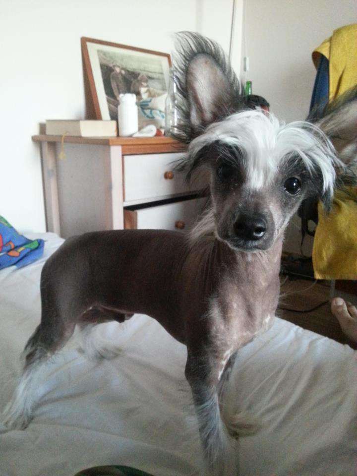 Chattanooga's Ensirakkaus