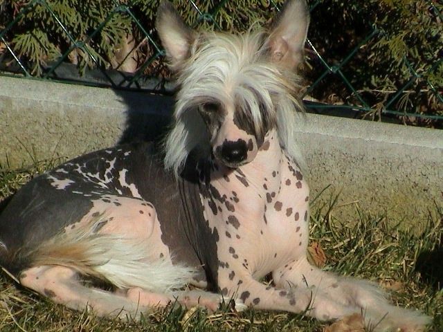 Ocean Deep Blue Fantasy Island