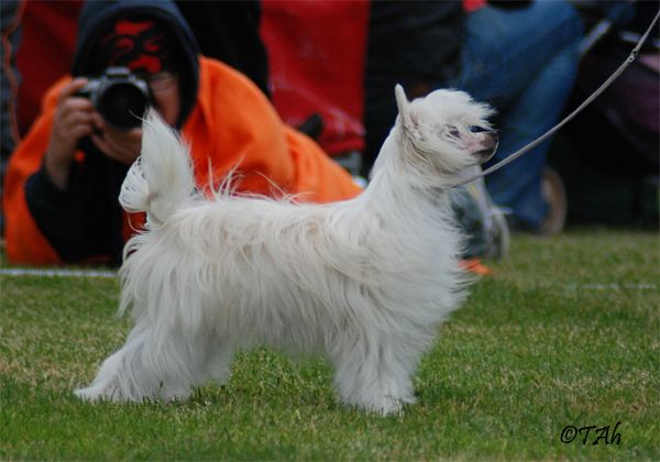 Chattanooga's Love 'n' Married