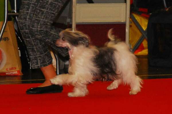 Just Yours von Shinbashi