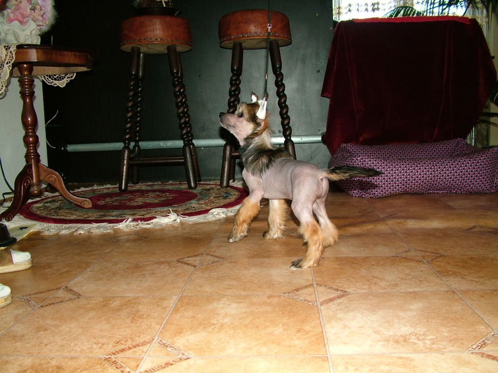 Picture