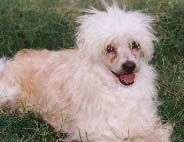 Silver Bluff Beggin Megan