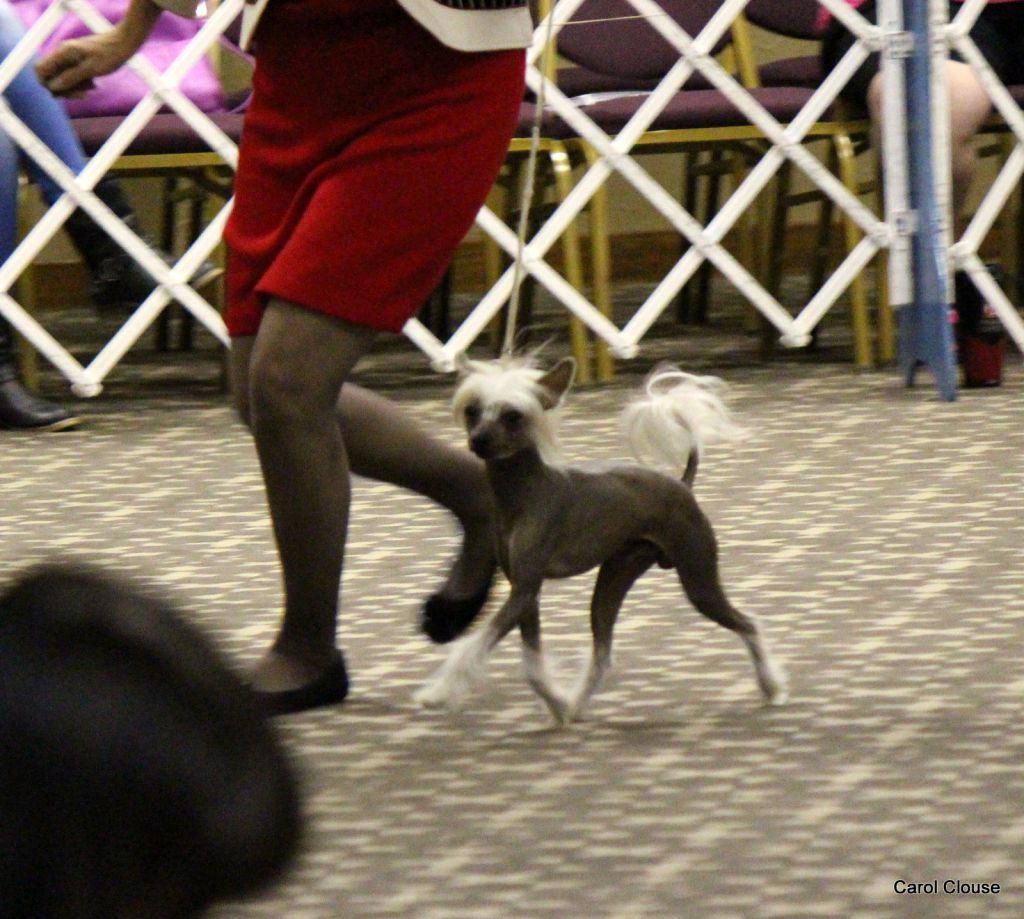 Zhen N Zen You're So Fine