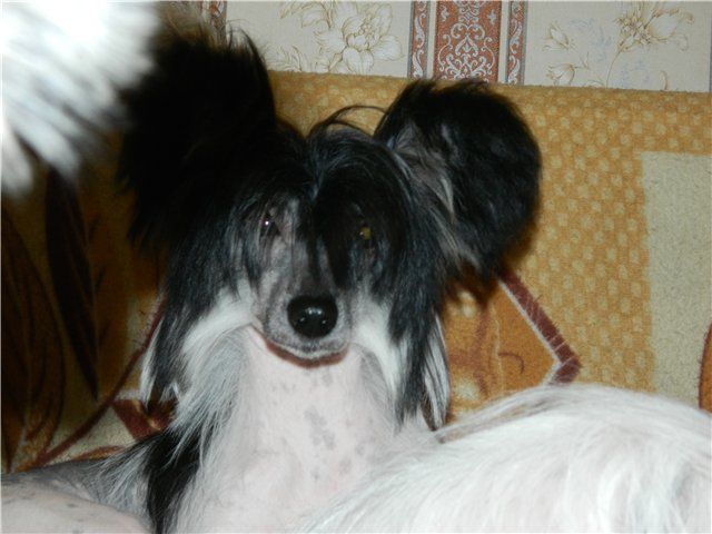 Picture