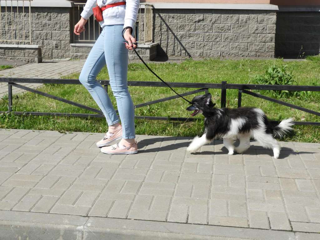 Picture