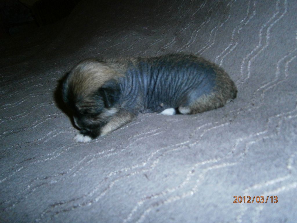 Picture
