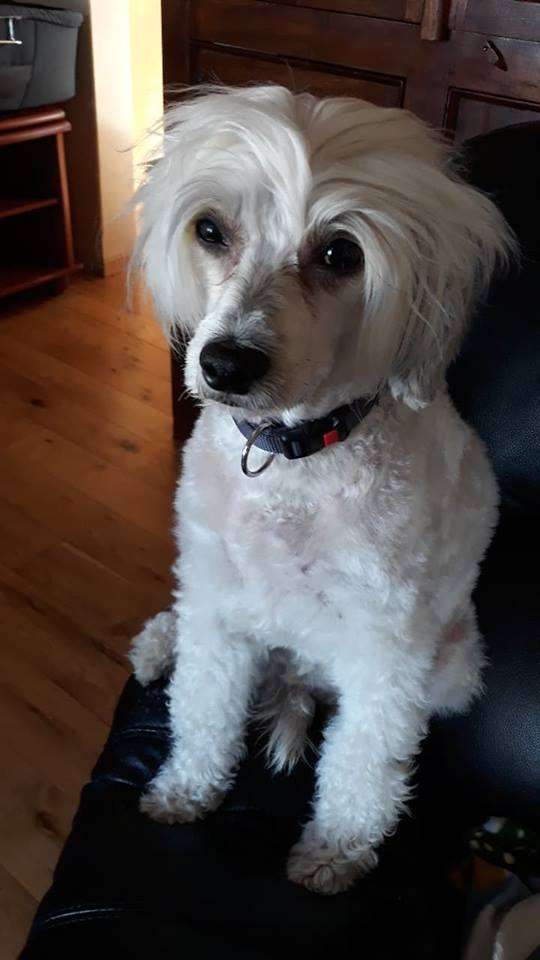 Dare to be Enjoyng Life