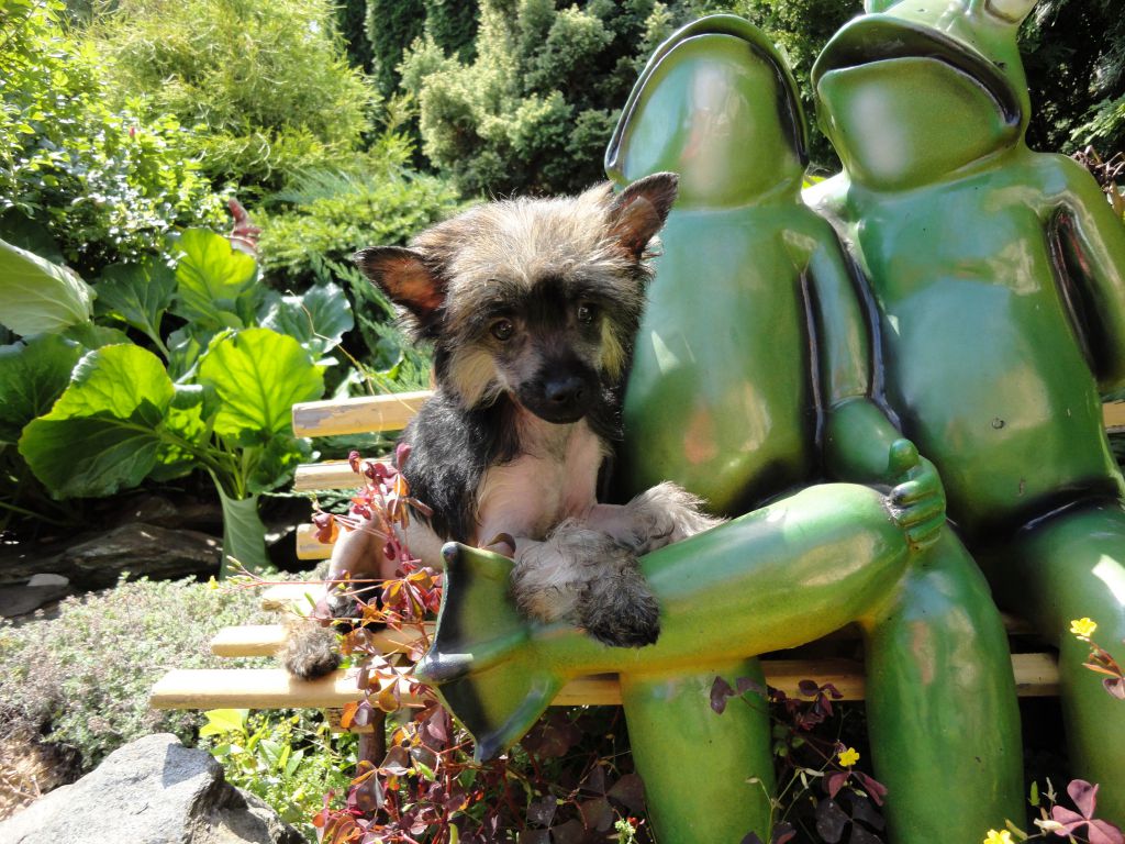 Benedigt Bonus Westtai