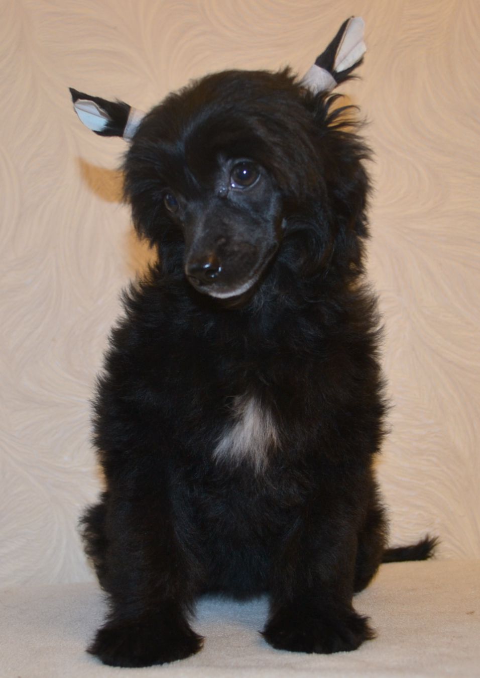 GOLLEND Igrivaia Kukolka