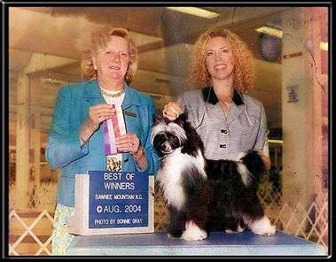 Ch Key To My Heart By Jove