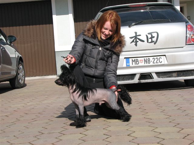 Picture
