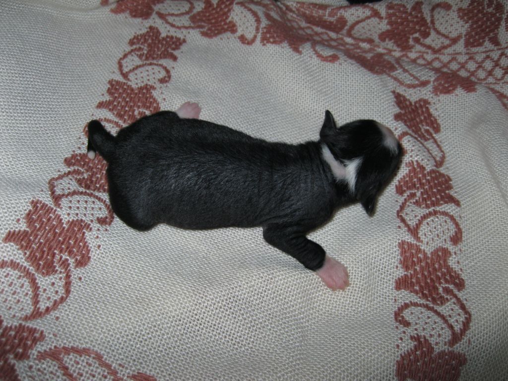 Picture