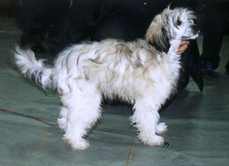 Nakkeri Zipposytkäri