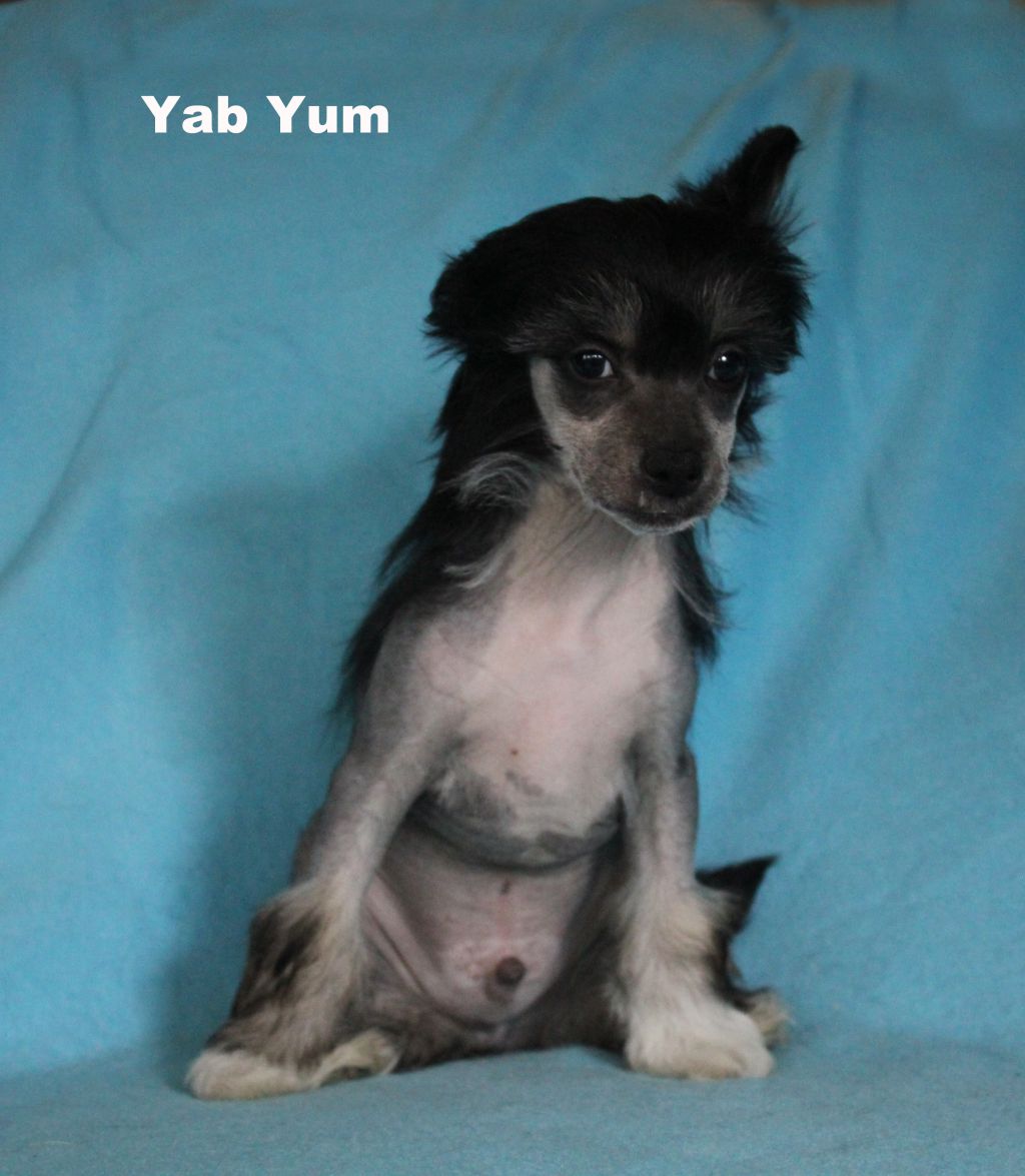 Happy Dancing Yab Yum