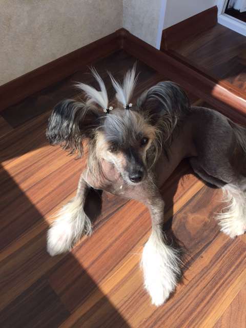 Aurum Time Casablanca