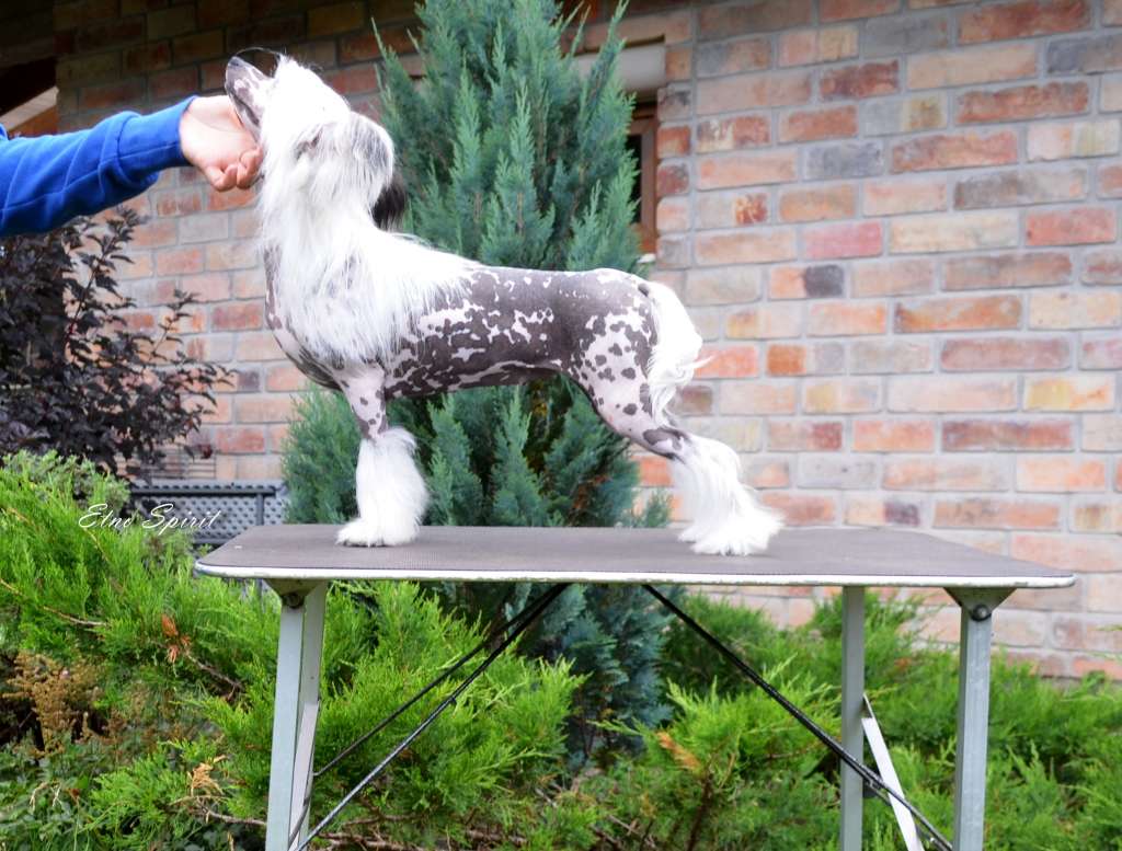 Etno Spirit i'm beauty