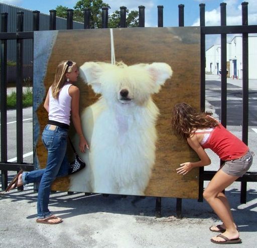 Picture