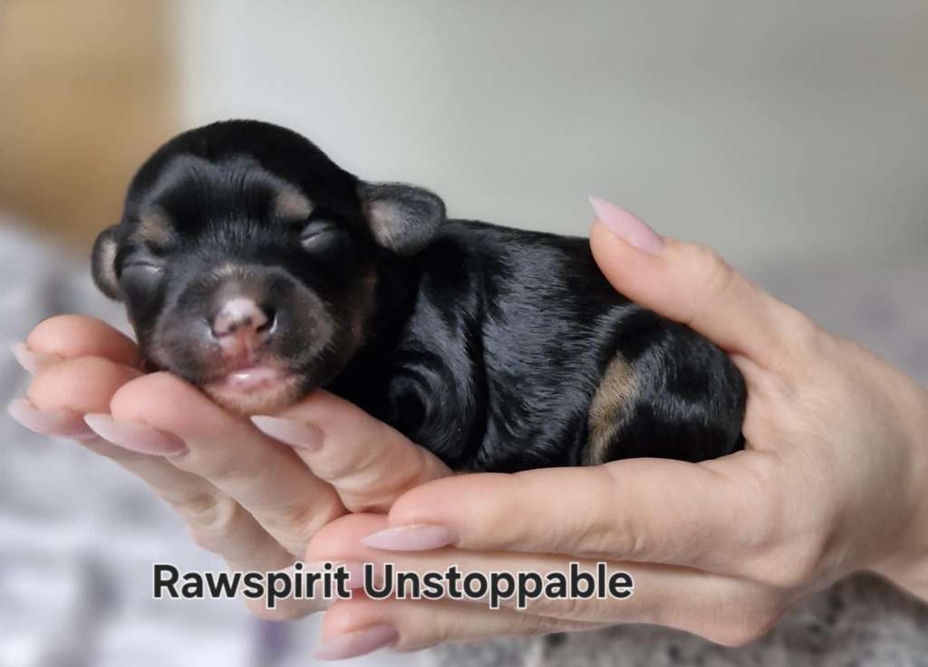 Rawspirit Unstoppable