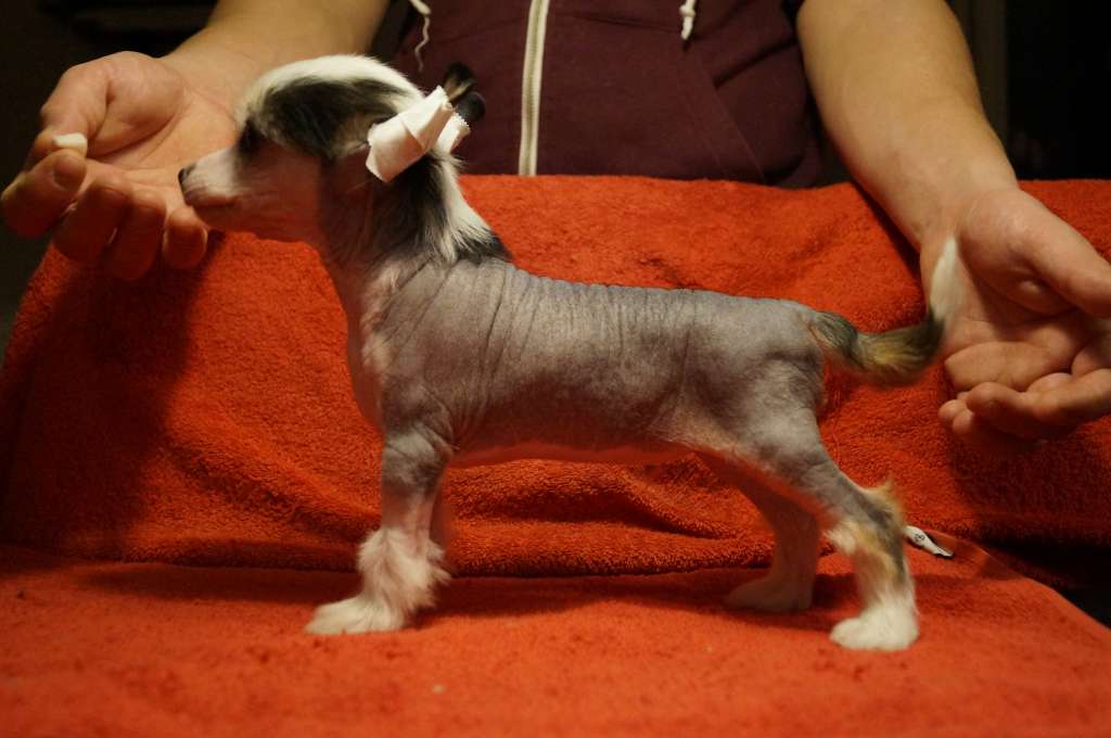 Miakoda's Lord Of Light