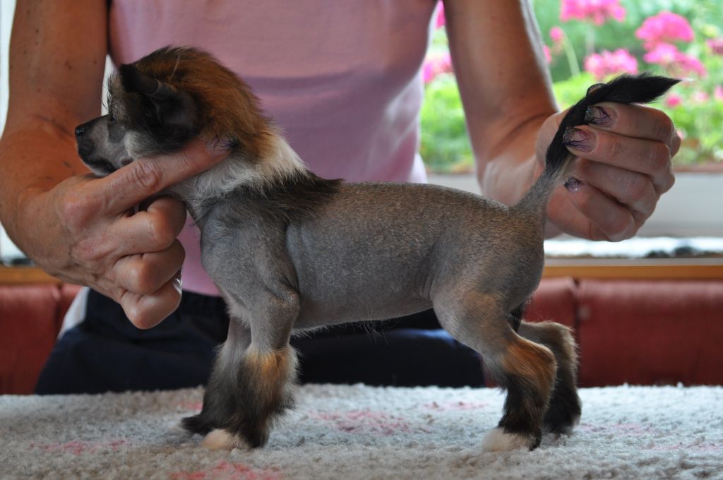 Bubbling Spirit All the Best