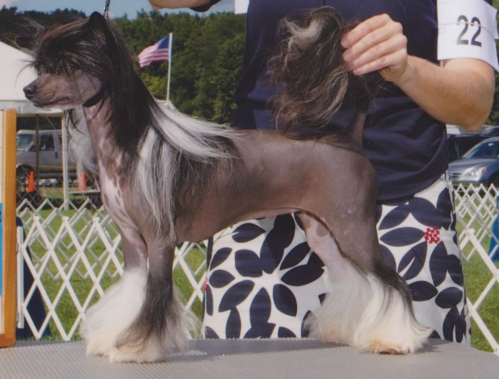 Tuinluv Northstar Pocket  Full Of Dreams