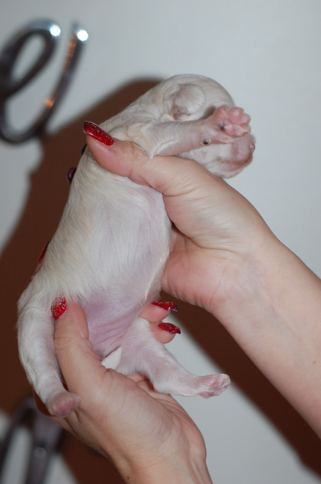 Picture