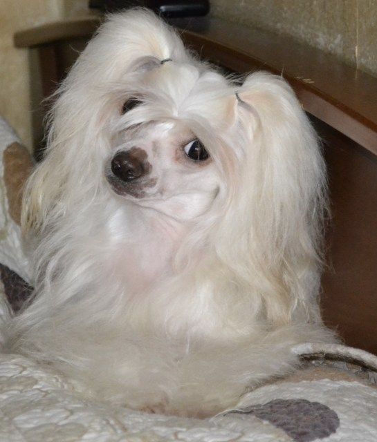 Picture