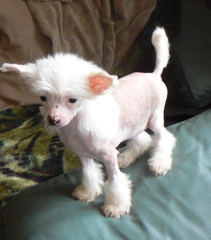 Picture
