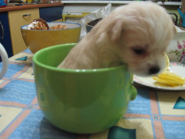 Picture