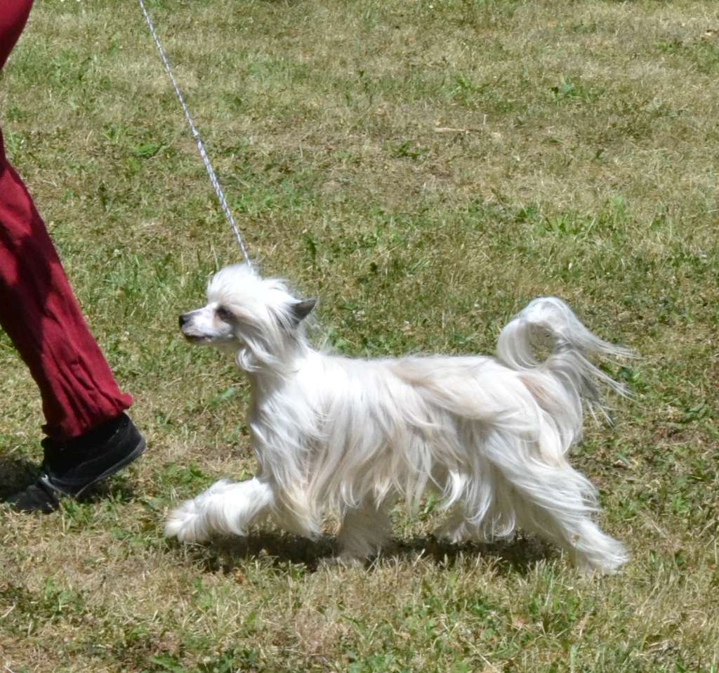 Melancinha de l'Orée des Rêves