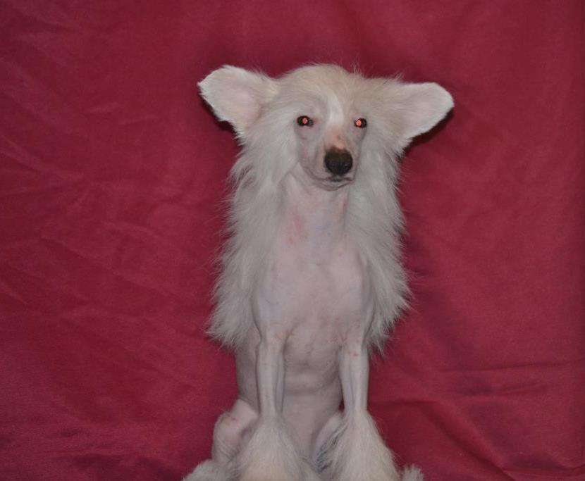 Ketrin Kristol Viktoriya