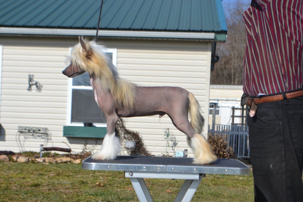 Whispering Lane After All