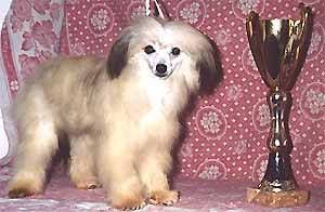 Pao Shou Du Gue De Launay