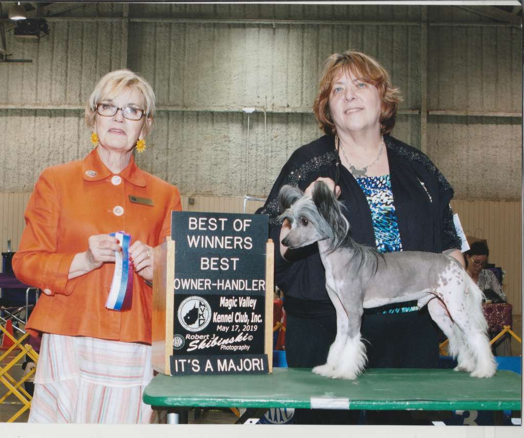 Lyric Town The Dragon of Echigo