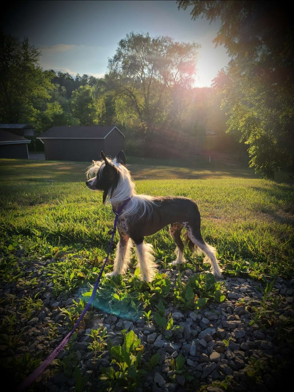 Winter is My Wonder for the Long Haul