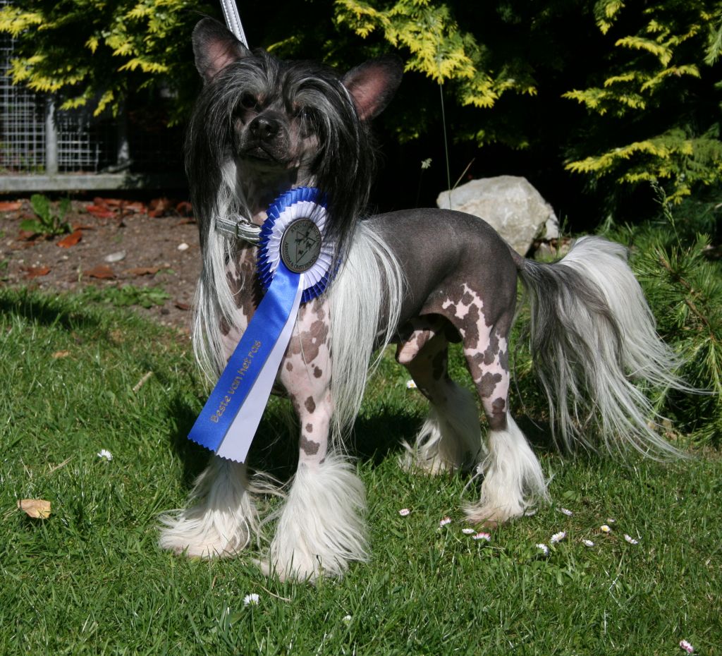 Special Edition He's A Rufkid