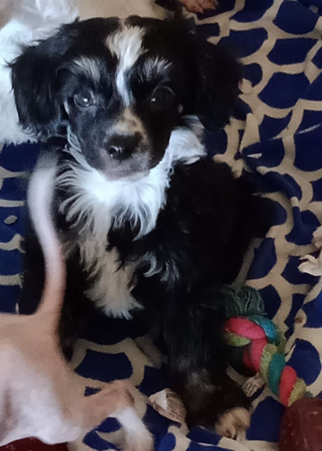 Xioma I Shot The Sherriff