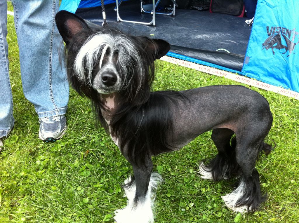 Marachinos Oh My Lucky Choice