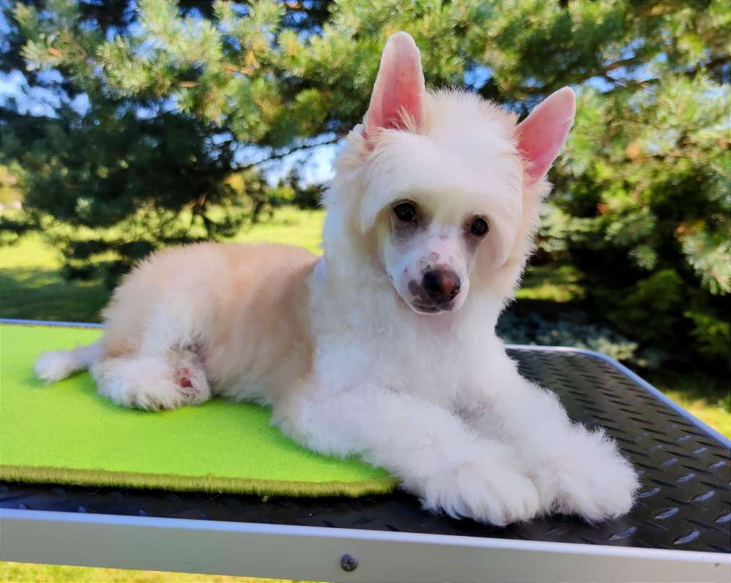 Nesquick Crystal Ice